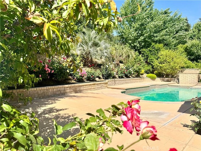 25453 Via Novia, Valencia, CA 91355 - view of swimming pool featuring a patio