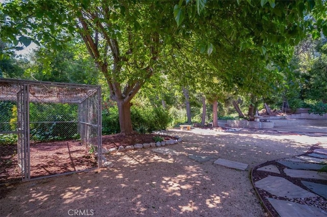 2521 Wildrose Ln, Upland, CA 91784 - view of yard