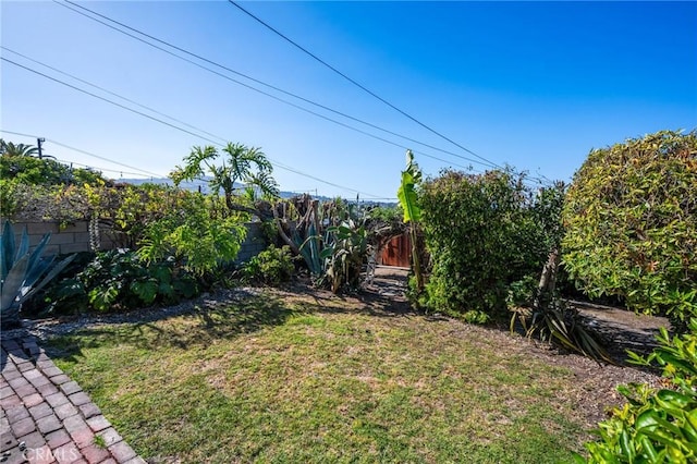 872 W 21st St, San Pedro, CA 90731 - view of yard