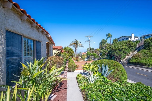 872 W 21st St, San Pedro, CA 90731 - view of yard