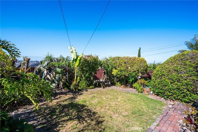 872 W 21st St, San Pedro, CA 90731 - view of grassy yard