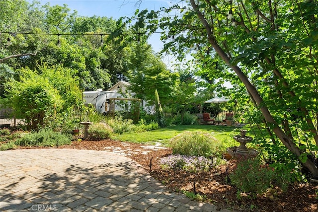 921 Arbutus Ave, Chico, CA 95926 - view of grassy yard featuring a patio area