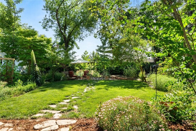 921 Arbutus Ave, Chico, CA 95926 - view of grassy yard