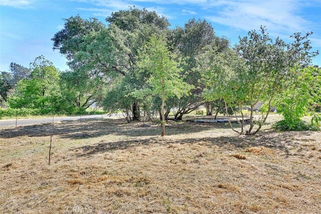 11 La Mirada Ave, Oroville, CA 95966 - photo 66