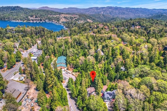 145 Cumberland Dr, Lake Arrowhead, CA 92352 - aerial view of property's location featuring a heavily wooded area and a water and mountain view
