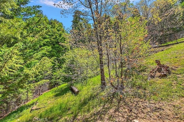 145 Cumberland Dr, Lake Arrowhead, CA 92352 - view of woods