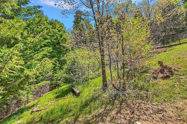 145 Cumberland Dr, Lake Arrowhead, CA 92352 - view of woods