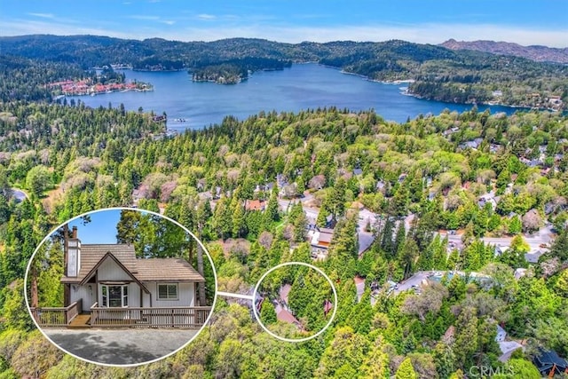 145 Cumberland Dr, Lake Arrowhead, CA 92352 - bird's eye view of a large body of water and a forest