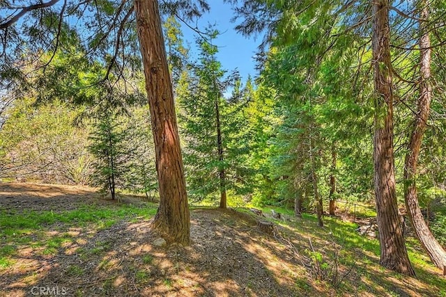 145 Cumberland Dr, Lake Arrowhead, CA 92352 - view of wooded area