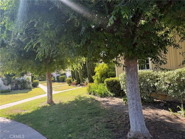 25779 Via Lomas Unit 170, Laguna Hills, CA 92653 - view of grassy yard