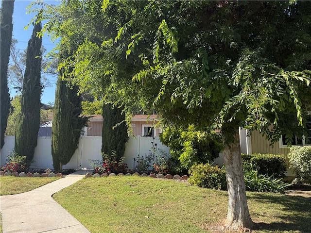 25779 Via Lomas Unit 170, Laguna Hills, CA 92653 - view of yard