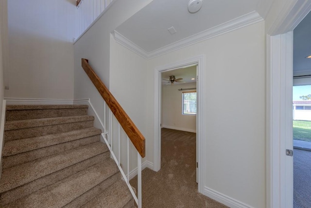 23342 Caminito Juanico Unit 304, Laguna Hills, CA 92653 - stairway with carpet flooring, ornamental molding, and ceiling fan