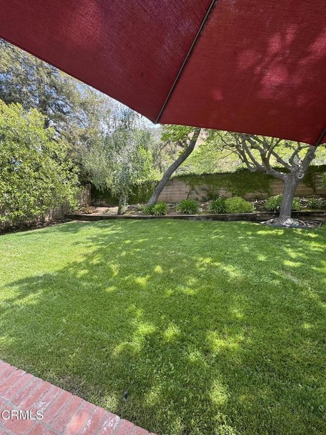 view of grassy yard
