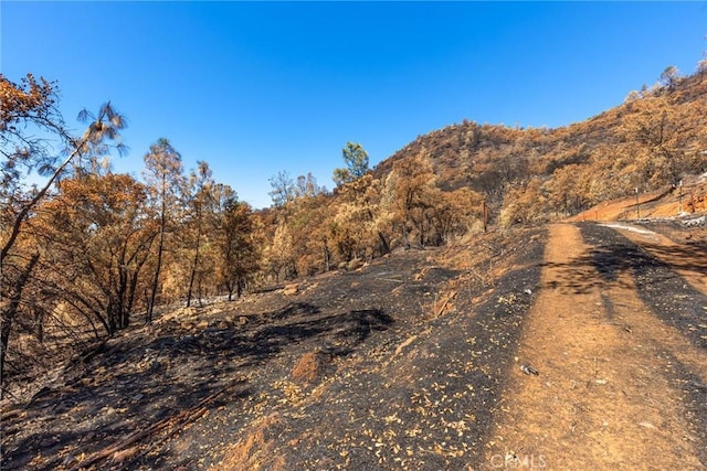 79 Oregon Gulch Rd, Oroville, CA 95965