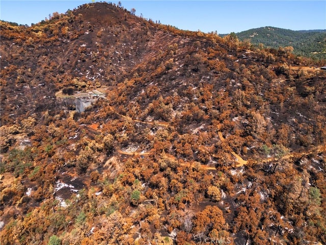 79 Oregon Gulch Rd, Oroville, CA 95965