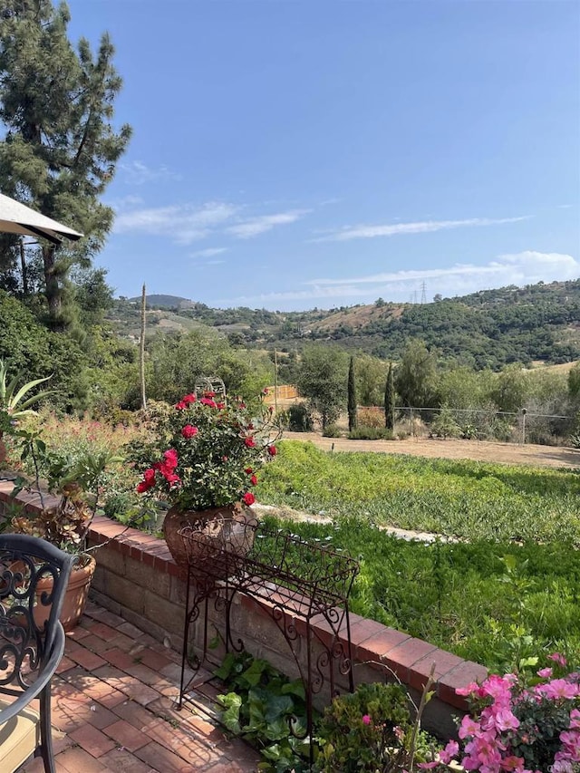 11105 Berry Rd, Valley Center, CA 92082 - view of patio