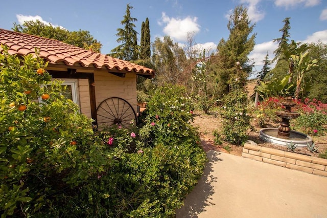 11105 Berry Rd, Valley Center, CA 92082 - view of yard with a patio
