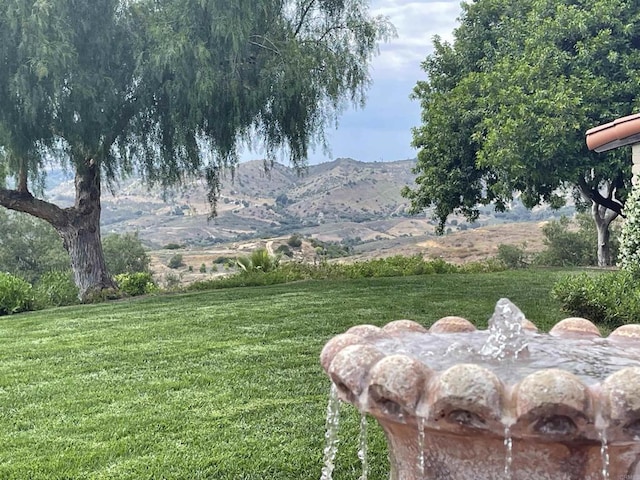 11105 Berry Rd, Valley Center, CA 92082 - view of grassy yard with a mountain view