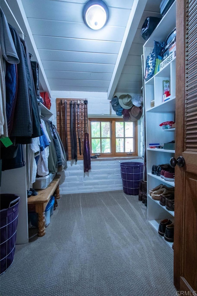 11105 Berry Rd, Valley Center, CA 92082 - spacious closet featuring carpet floors and lofted ceiling