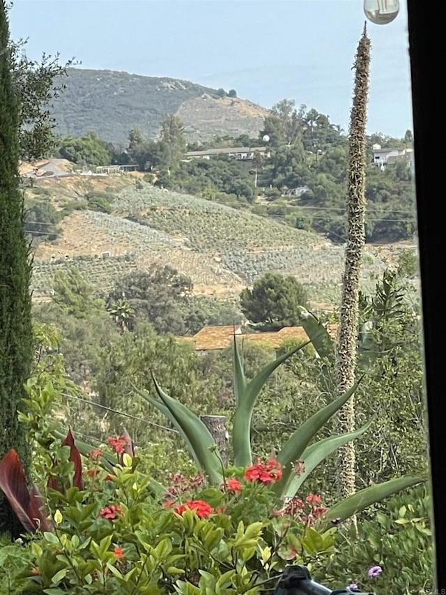 11105 Berry Rd, Valley Center, CA 92082 - mountain view