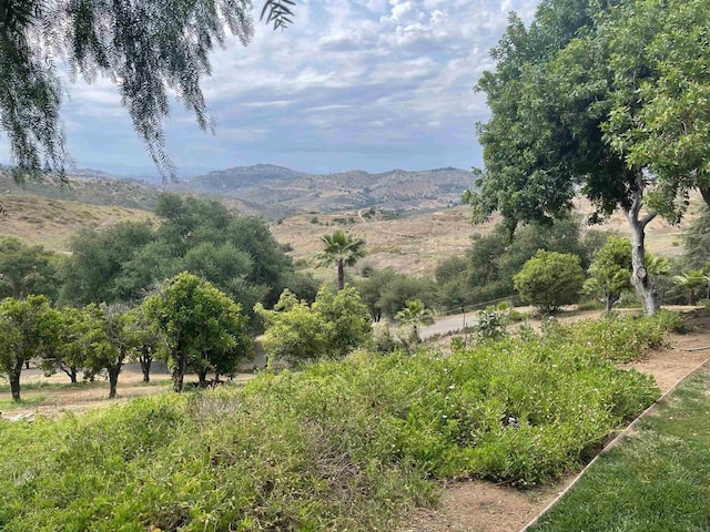 11105 Berry Rd, Valley Center, CA 92082 - view of mountain backdrop