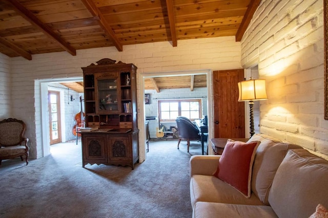 11105 Berry Rd, Valley Center, CA 92082 - living room featuring wood ceiling and carpet flooring