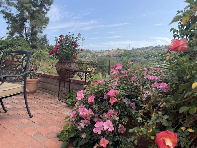 11105 Berry Rd, Valley Center, CA 92082 - view of patio