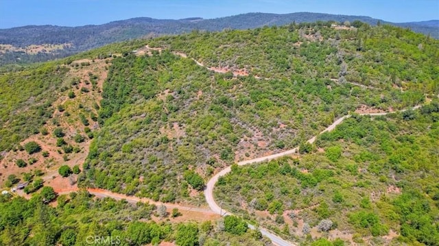 23 Clark Ranch Way, Dobbins, CA 95935 - photo 30