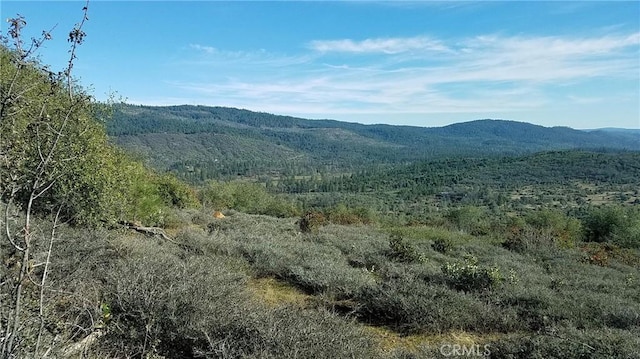 23 Clark Ranch Way, Dobbins, CA 95935 - photo 3