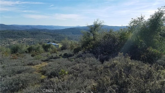 23 Clark Ranch Way, Dobbins, CA 95935 - photo 19