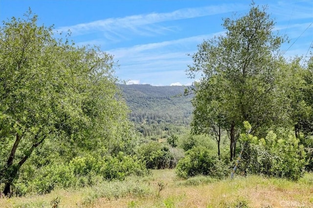 23 Clark Ranch Way, Dobbins, CA 95935 - photo 4