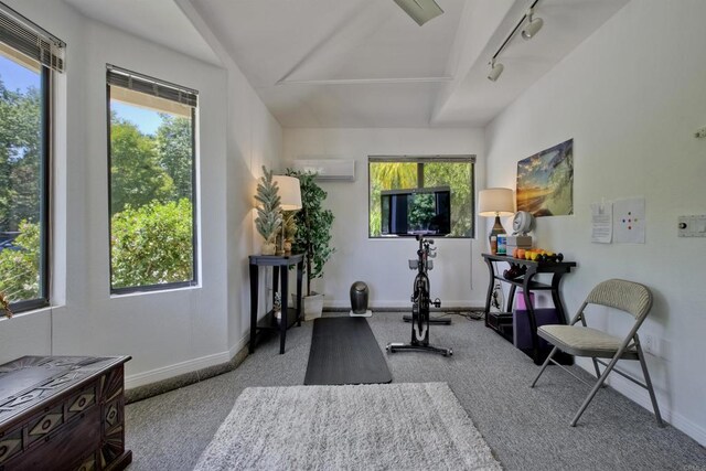 3749 Sarah Ann Dr, Fallbrook, CA 92028 - exercise area featuring track lighting, carpet, healthy amount of natural light, and baseboards