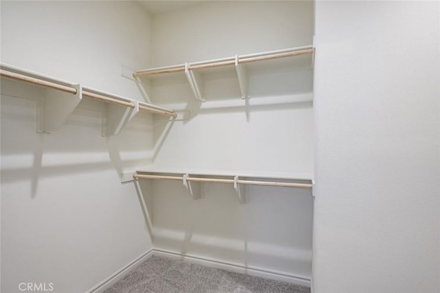937 E Wonder Ln, Glendora, CA 91740 - spacious closet featuring carpet