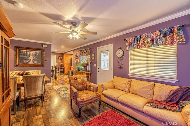43156 41st St W, Lancaster, CA 93536 - living area featuring ornamental molding, hardwood / wood-style floors, a ceiling fan, a textured ceiling, and baseboards