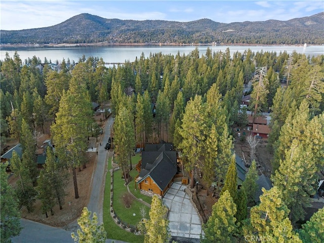 39900 Forest Rd, Big Bear Lake, CA 92315 - photo 12