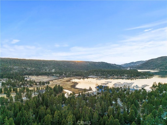 39900 Forest Rd, Big Bear Lake, CA 92315 - photo 15
