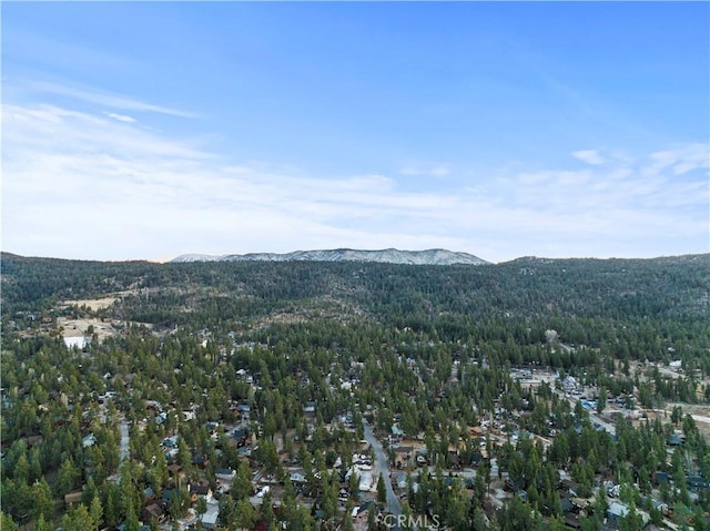 39900 Forest Rd, Big Bear Lake, CA 92315 - photo 17