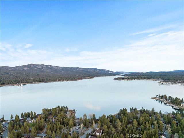 39900 Forest Rd, Big Bear Lake, CA 92315 - photo 16