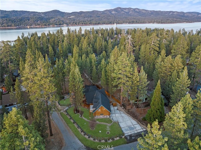39900 Forest Rd, Big Bear Lake, CA 92315 - photo 6