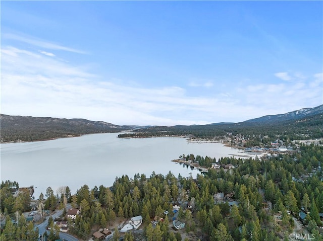 39900 Forest Rd, Big Bear Lake, CA 92315 - photo 14