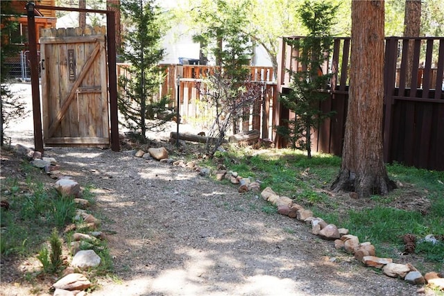 657 Moreno Ln, Sugarloaf, CA 92386 - view of yard with a gate and fence