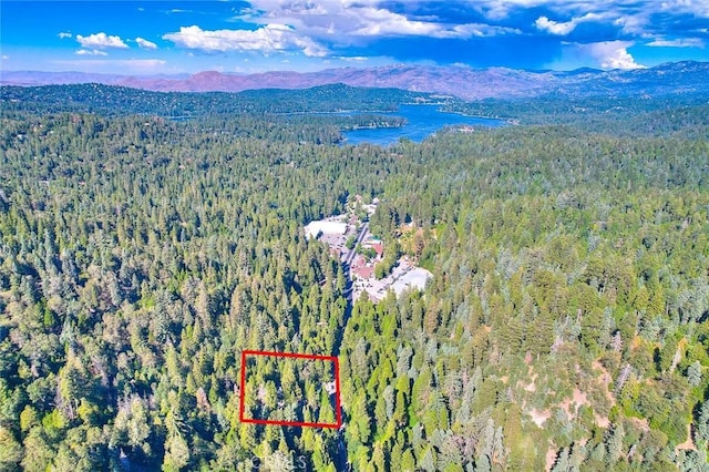 27048 State Highway 189, Blue Jay, CA 92317 - aerial view of property and surrounding area with a mountain backdrop and property boundaries highlighted
