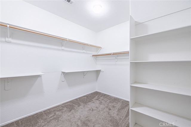 43839 58th St W, Lancaster, CA 93536 - spacious closet with carpet flooring