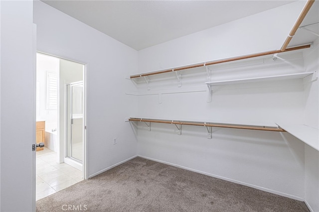 43839 58th St W, Lancaster, CA 93536 - walk in closet featuring carpet flooring
