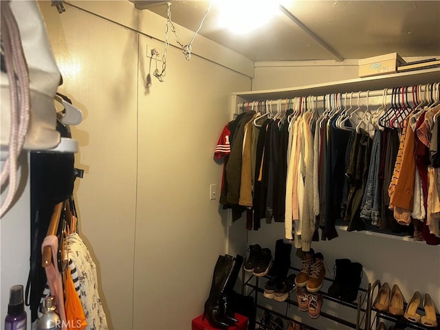 view of spacious closet