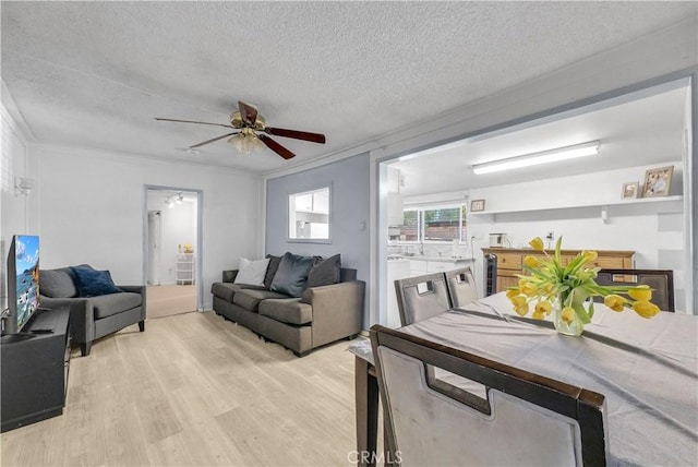 9446 La Grande St, Rancho Cucamonga, CA 91701 - living room with ceiling fan, light wood-type flooring, a textured ceiling, and crown molding