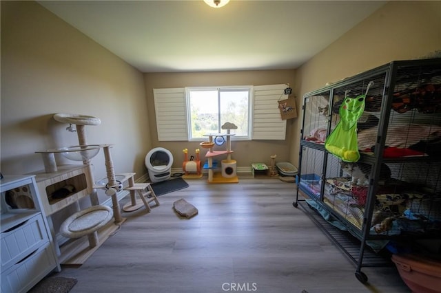 35197 Hogan Dr, Beaumont, CA 92223 - workout area featuring wood finished floors and baseboards