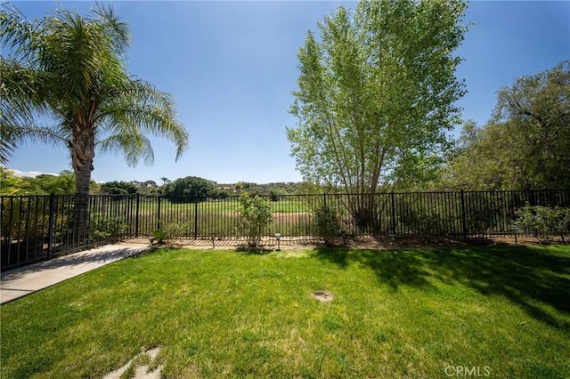 35197 Hogan Dr, Beaumont, CA 92223 - view of yard