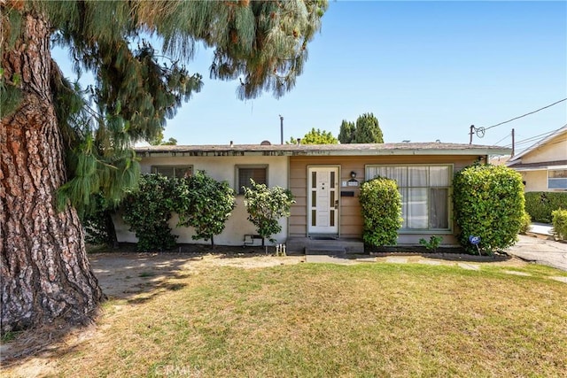 view of front of home with a front lawn and stucco siding