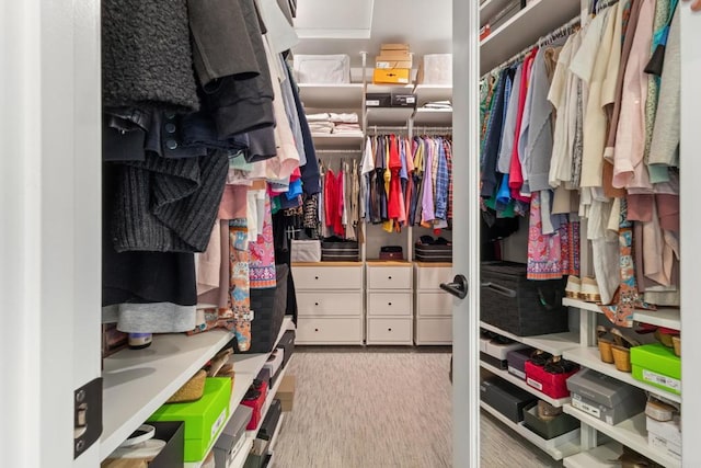 6132 Colt Pl Unit 101, Carlsbad, CA 92009 - view of walk in closet